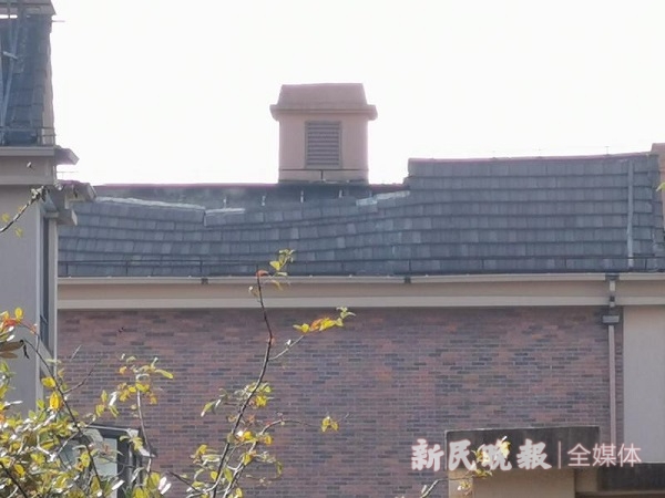 乐鱼150众户别墅屋顶“塌陷”！头上“悬雷”满屋“泡汤……(图2)