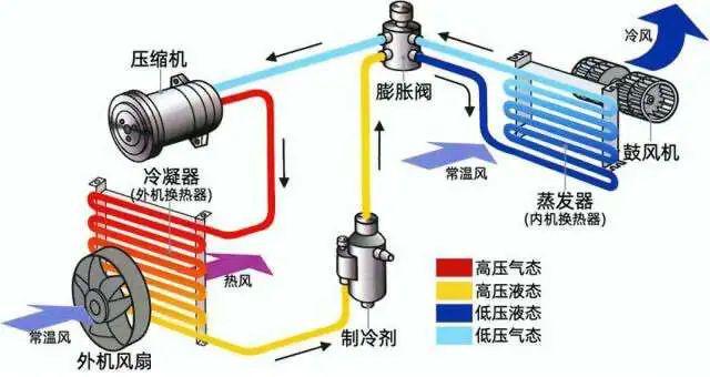 乐鱼体育炎天做饭不消放盐我流的汗曾经够咸了(图6)