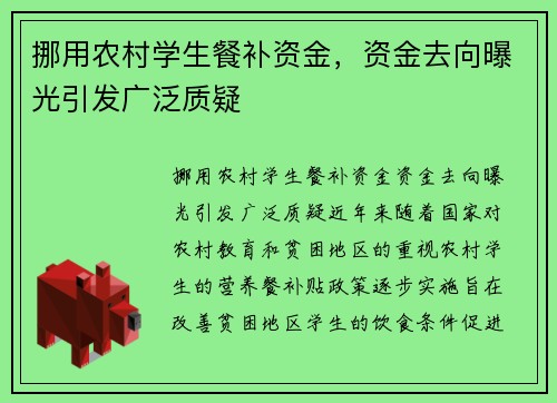 挪用农村学生餐补资金，资金去向曝光引发广泛质疑